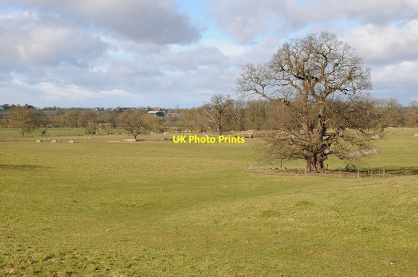 Photo 6"x4" Hanbury Park Gallows Green\/SO9362 c2018