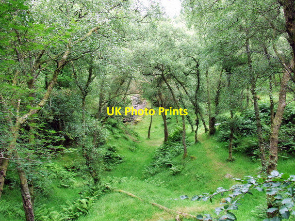 Photo 6"x4" Everton scout camp Inverkip c2007