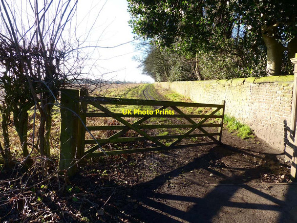 Photo 6"x4" Footpath beside wall surrounding Crosby Hall Little Crosby c2018