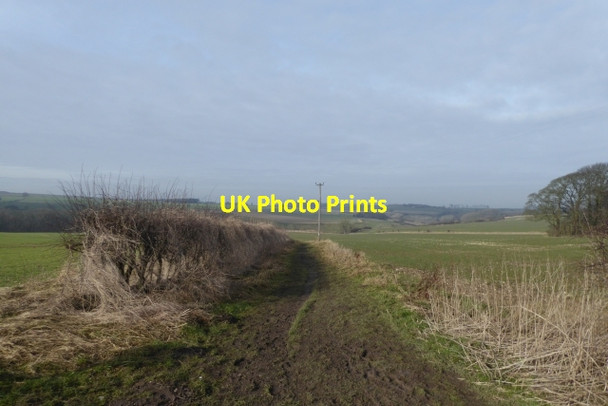 Photo 6"x4" Start of the track Wharram Percy c2018