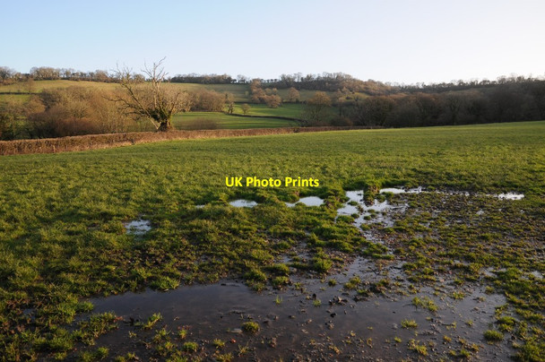 Photo 6"x4" Farmland Bushy Common South Widcombe c2018