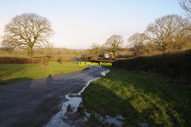 Photo 6"x4" Country road passing Widcombe Farm South Widcombe c2018