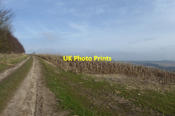 Photo 6"x4" Track in Raisthorpe Wold Thixendale c2018
