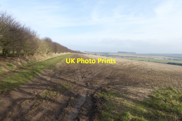 Photo 6"x4" Bridleway over farmland Thixendale c2018