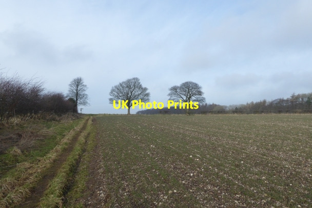 Photo 6"x4" Bridleway over farmland Wharram Percy c2018