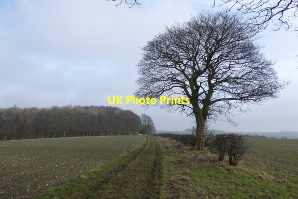 Photo 6"x4" Bridleway leading to the road Wharram Percy c2018