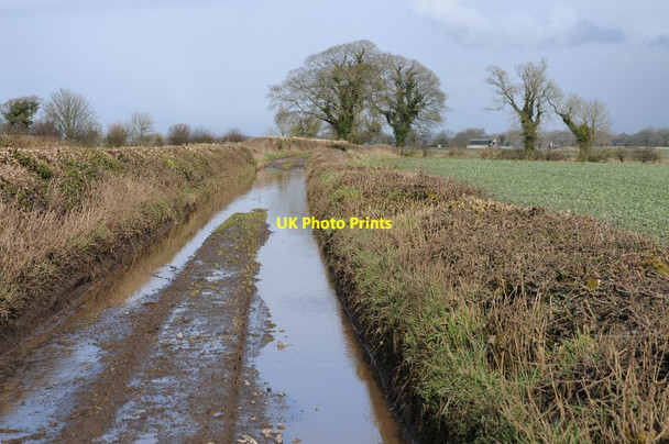 Photo 6"x4" Flooded country road Chewton Mendip c2018