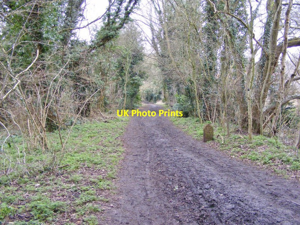 Photo 6"x4" Mile Post View Wolverhampton c2018