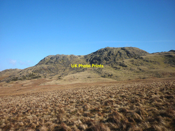 Photo 6"x4" Boggy moorland below White Pike Woodend\/SD1696 c2018