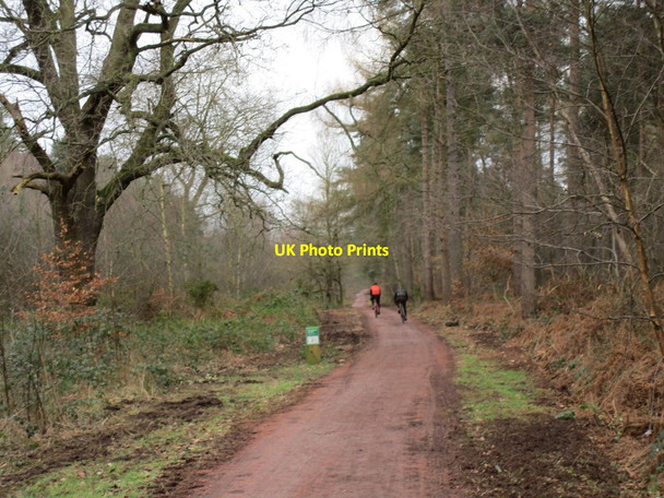 Photo 6"x4" The Robin Hood Way Budby c2018