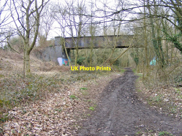 Photo 6"x4" Bridge Scene Claregate c2018