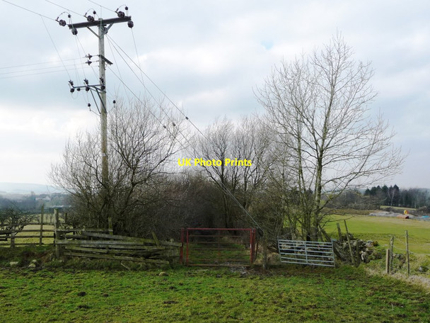 Photo 6"x4" The bridleway to High Bentham gains a hedge on both sides Barnoldswick\/SD6671 c2018
