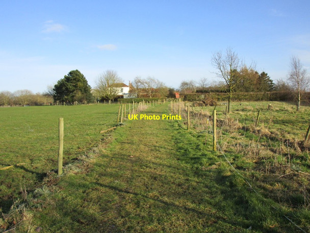Photo 6"x4" Approaching Stud Farm Seaton\/TA1646 c2018