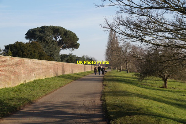 Photo 6"x4" Thames footpath downstream from Hampton Court Surbiton c2018
