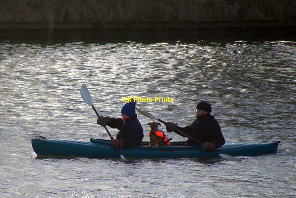 Photo 6"x4" Canoeing at Hampton Court Bridge Surbiton c2018