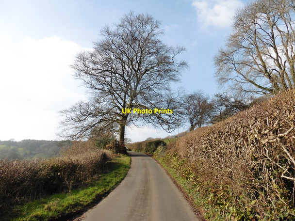 Photo 6"x4" Money Acre Road Church Green\/SY1796 c2018