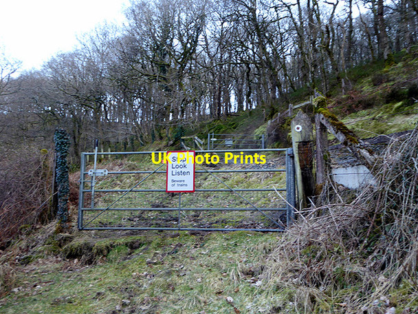 Photo 6"x4" Crossing gate at Rhiwfron station Devil's Bridge\/Pontarfynach c2018