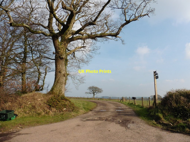 Photo 6"x4" Track to Glanville Farm Church Green\/SY1796 c2018