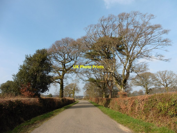 Photo 6"x4" Glanville Road Honiton\/ST1600 c2018