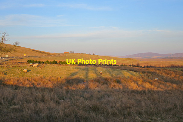 Photo 6"x4" Long Shadows Little Vantage c2018