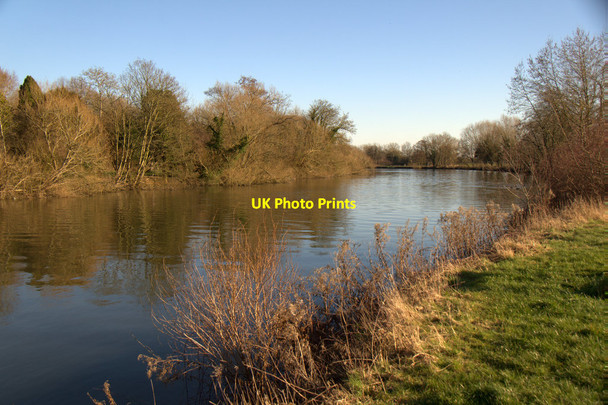 Photo 6"x4" Magna Carta Island, Runnymede Egham c2018