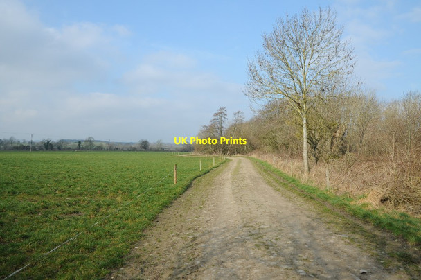 Photo 6"x4" Farmland track beside the River Arrow Marston\/SO3657 c2018