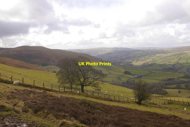 Photo 6"x4" Radnorshire hill country Cregrina c2018