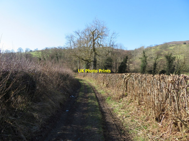 Photo 6"x4" Track towards the River Alyn\/Afon Alun Nant\/SJ1957 c2018