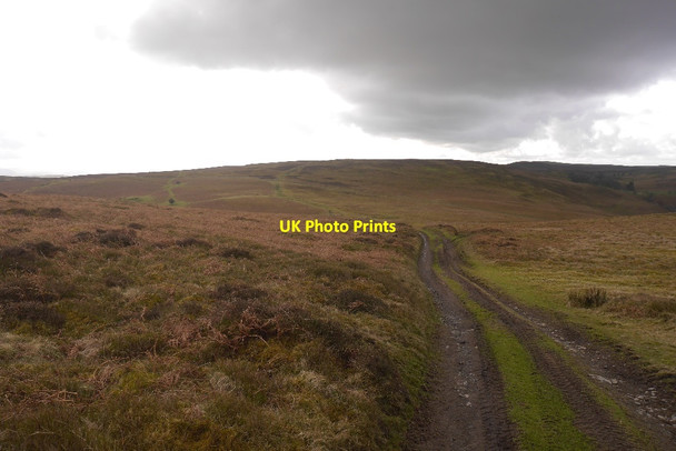 Photo 6"x4" Road above Rhulen, Radnorshire Llanbedr\/SO1446 c2018