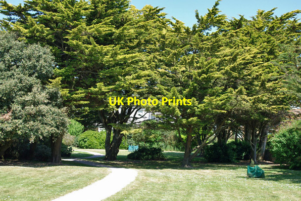 Photo 6"x4" In Norfolk Gardens, Littlehampton Littlehampton c2010