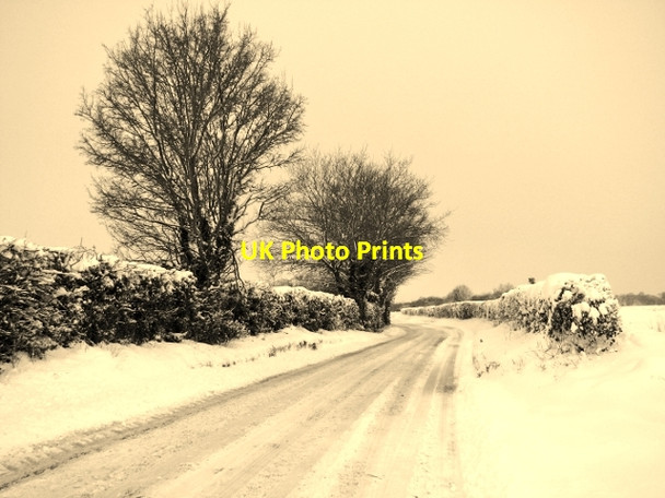 Photo 6"x4" A snowy Bramerton Road Bramerton c2018