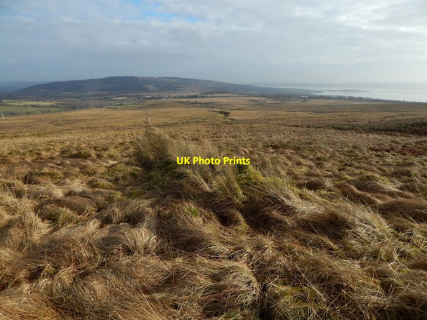 Photo 6"x4" An old boundary Helensburgh c2018