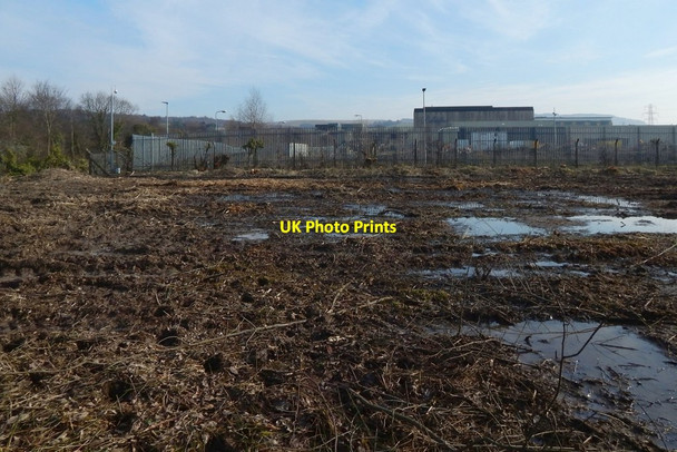 Photo 6"x4" Recently-cleared land at Kilmalid Dumbarton c2018