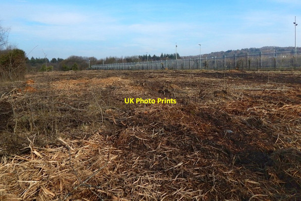 Photo 6"x4" Recently-cleared land at Kilmalid Dumbarton c2018 P1