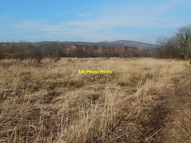 Photo 6"x4" Marshy ground by the River Leven Dumbarton c2018