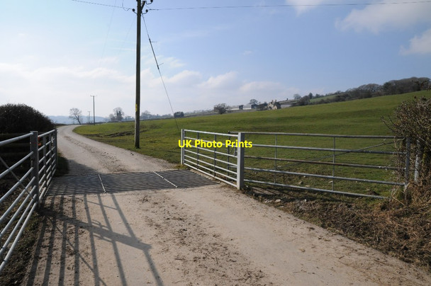 Photo 6"x4" Drive to Bank Farm Kington\/SO2956 c2018