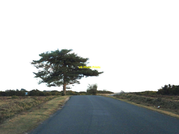 Photo 6"x4" Rhinefield Road to Brockenhurst North Weirs c2018