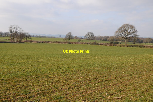 Photo 6"x4" Herefordshire farmland Upper Broxwood c2018