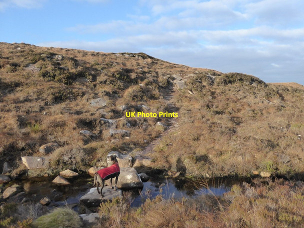 Photo 6"x4" Stepping stones on the path to Craig Lower Diabaig c2018