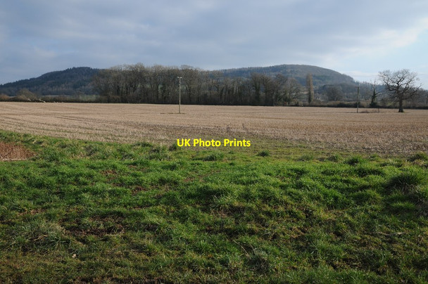 Photo 6"x4" View to Burton Hill Sarnesfield c2018