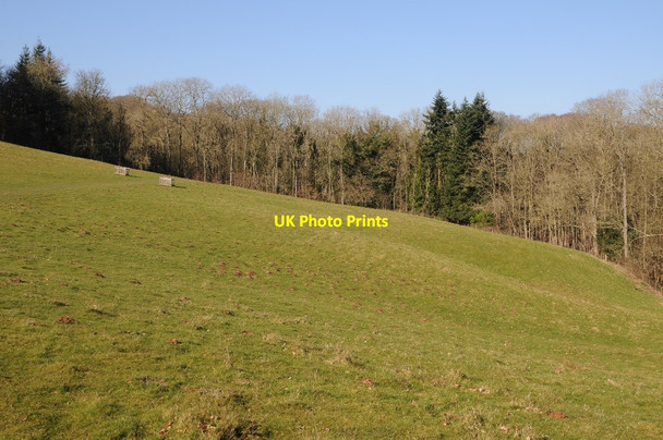 Photo 6"x4" Brockhampton Park Bringsty Common c2018