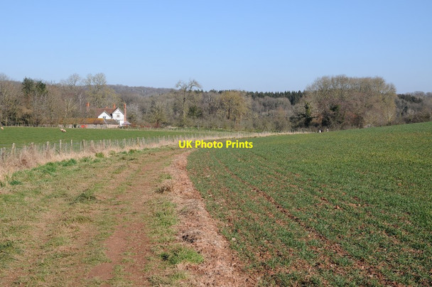 Photo 6"x4" Path approaching Lower Brockhampton  Bringsty Common c2018
