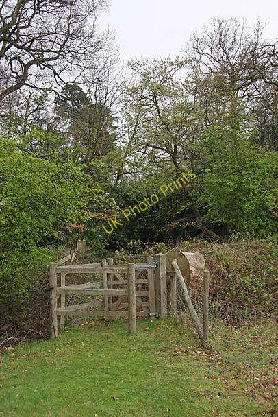 Photo 6"x4" Footpath in Wrotham Park Potters Bar c2009