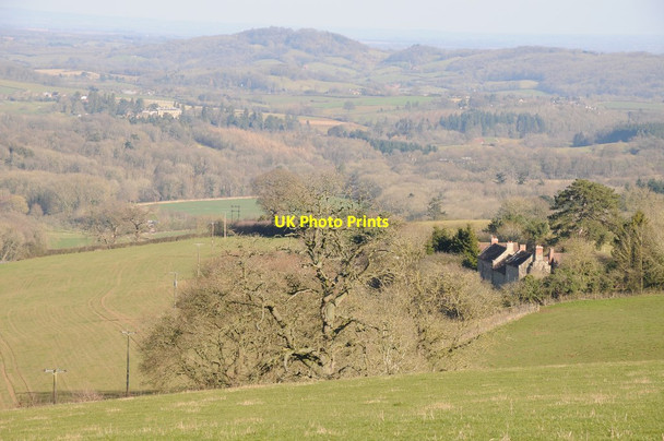 Photo 6"x4" View of Greenfield Bromyard Downs c2018