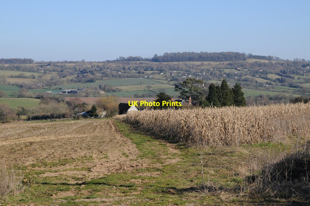 Photo 6"x4" Farmland near Wallcroft Flaggoners Green c2018