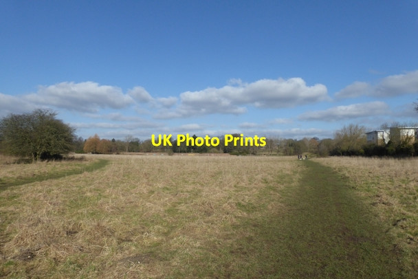 Photo 6"x4" Path north on Walmgate Stray York\/SE5951 c2018