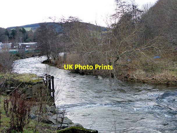 Photo 6"x4" Beside Gala Water Galashiels c2018