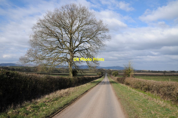 Photo 6"x4" Country road at Queenhill Holdfast\/SO8537 c2018