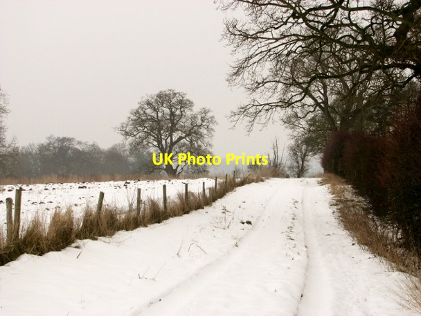 Photo 6"x4" Snowy path Surlingham c2018
