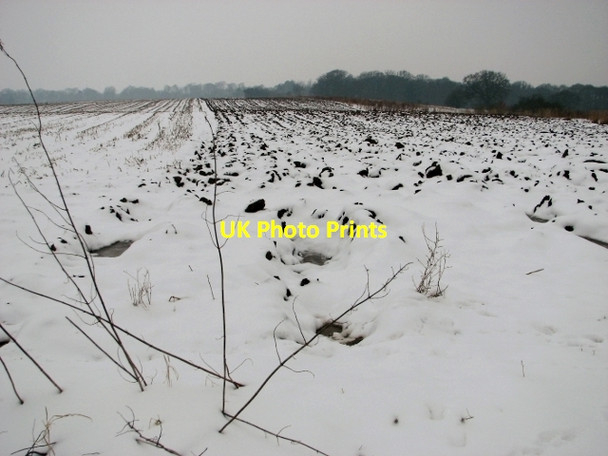 Photo 6"x4" A partially ploughed field Surlingham c2018